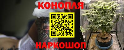 гидропоника Кунгур